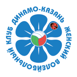 Динамо-Ак Барс логотип